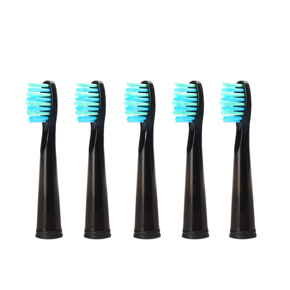 Electric Toothbrush Heads Sonic Replaceable Seago Tooth brush Head Soft Bristle SG-507B/908/909/917/610/659/719/910/575/551/548