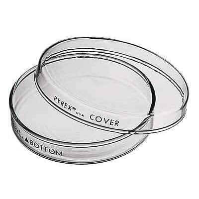 ⭐Pyrex® Glass Petri Dish, 120 mm x 15 mm – Premium Borosilicate Glass, Made in England
