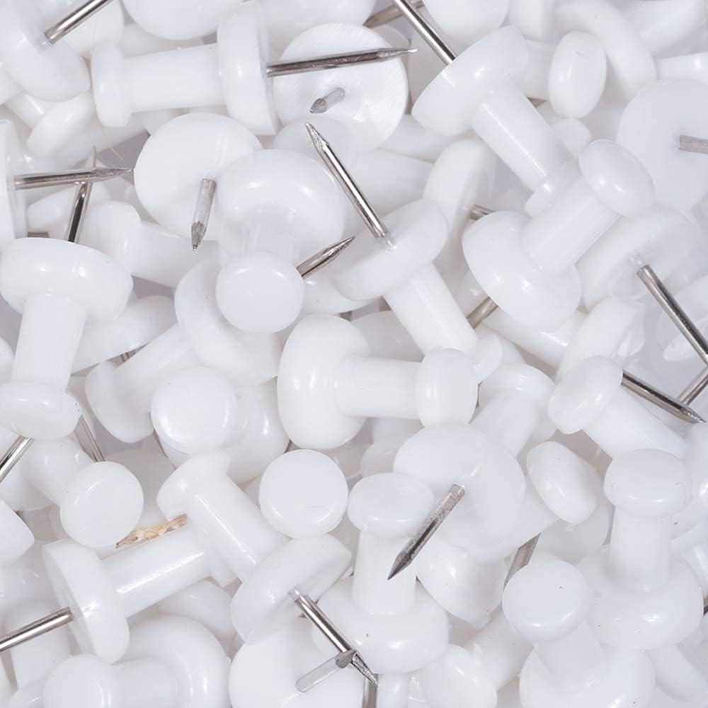 JAM Paper White Thumb Tacks – 50 Count Decorative Push Pins