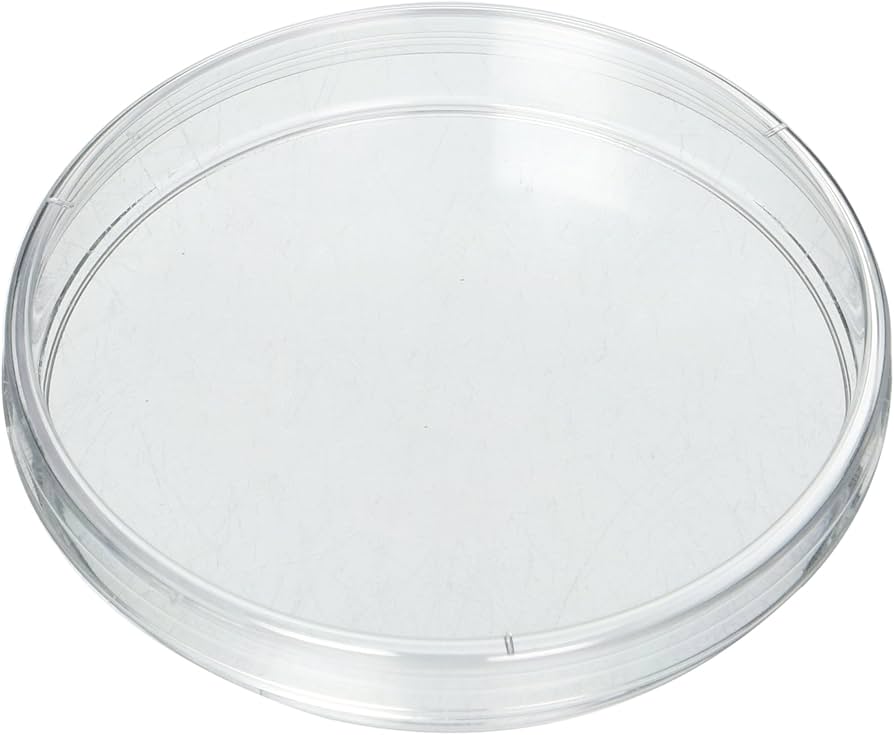 ⭐Pyrex® Glass Petri Dish, 120 mm x 15 mm – Premium Borosilicate Glass, Made in England