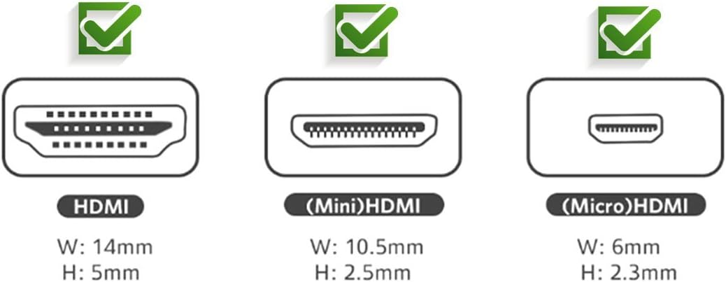 2-in-1 Mini HDMI & Micro HDMI Male to HDMI Female Adapter (Gold Plated) – Compatible with Smartphones, Tablets, Cameras & More