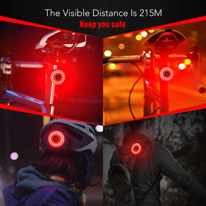 Daffodil USB Rechargeable Rear Bike Light – High Brightness LED Bicycle Tail Light for Safety, Waterproof & Easy Install