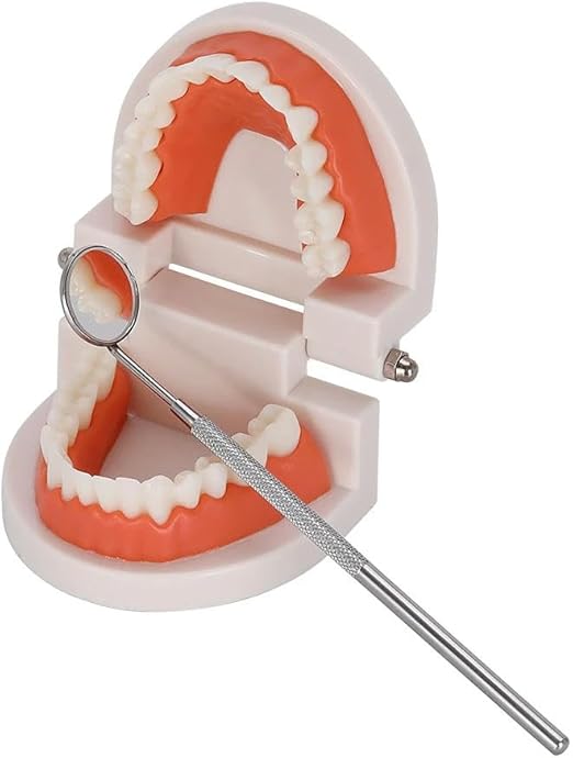 Dental Mirror Stainless Steel 16 cm with Handle Dentist Tool for Teeth Cleaning Plaque, Mouth Inspection, Lash Extension Mirror