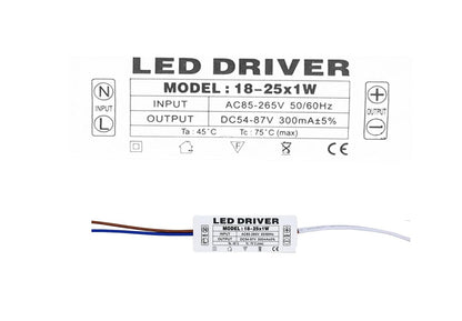Lighting Driver LED Power Driver ABS 18-25x1W Constant Current 300mA LED Driver Transformer AC 85-265V to 54-87V DC