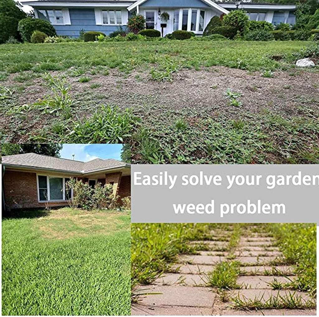 8 Inch Grass Trimmer Head Derusting & Weeding Wheel | Rust & Dust Removal Plate with Fixing Kit | Steel Wire Brush Cutter for Lawn Mower & Garden Tools