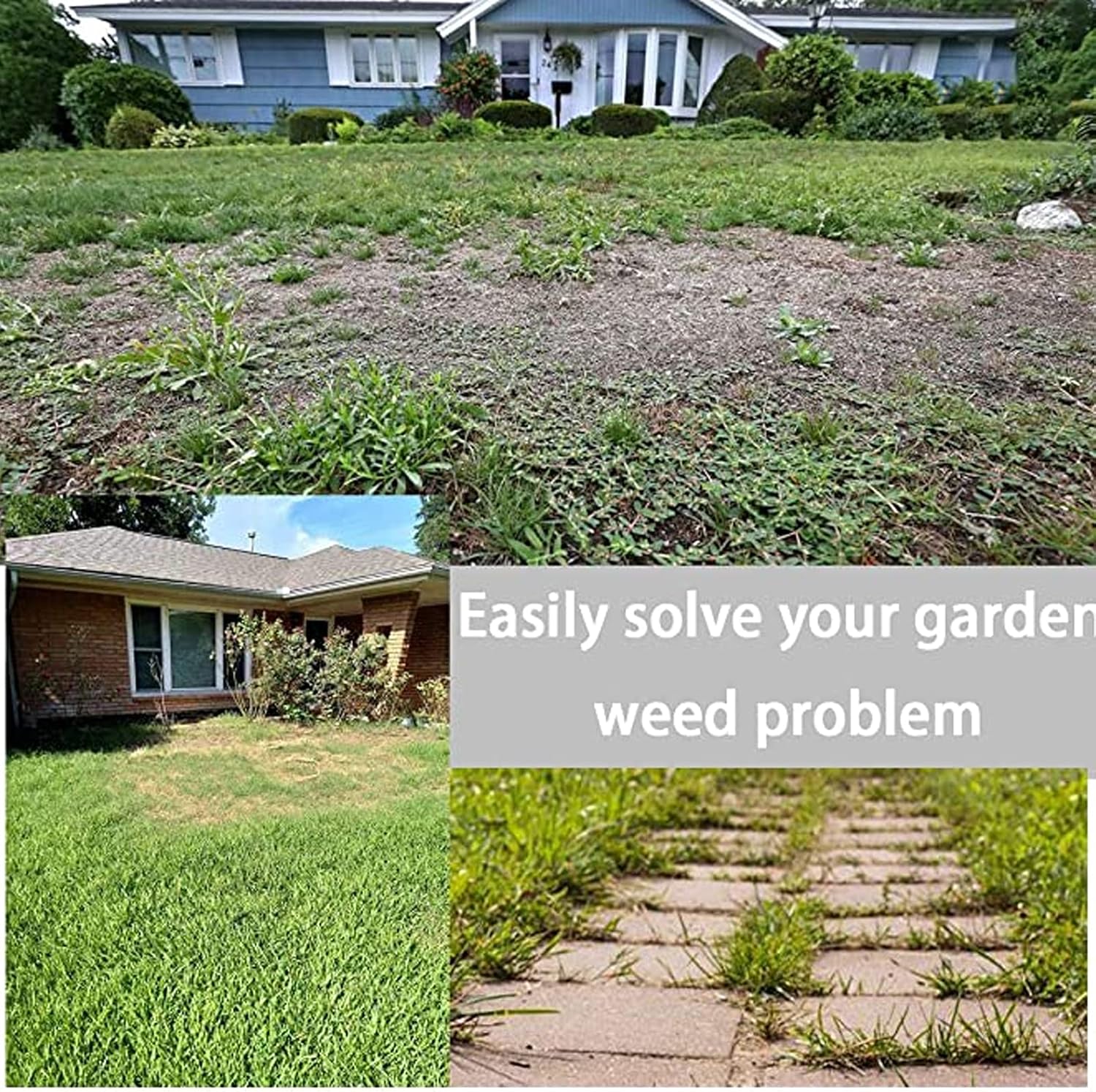 8 Inch Grass Trimmer Head Derusting & Weeding Wheel | Rust & Dust Removal Plate with Fixing Kit | Steel Wire Brush Cutter for Lawn Mower & Garden Tools