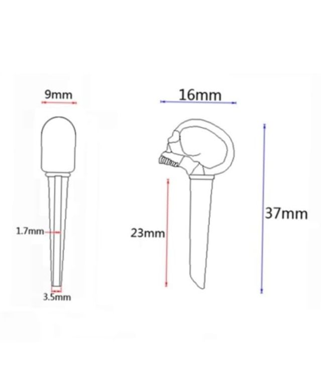 Acoustic Guitar Parts Set 6 Pcs Of Guitar Skull Saddle Brass Nut Pins Golden