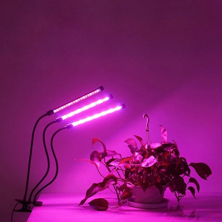 LED Plant Grow Light Red Blue Spectrum USB Clip-On Lamp – 5 Dimmable Levels Indoor Plant Growing Light with 3/6/12 Hour Timer, Dual Rod Adjustable
