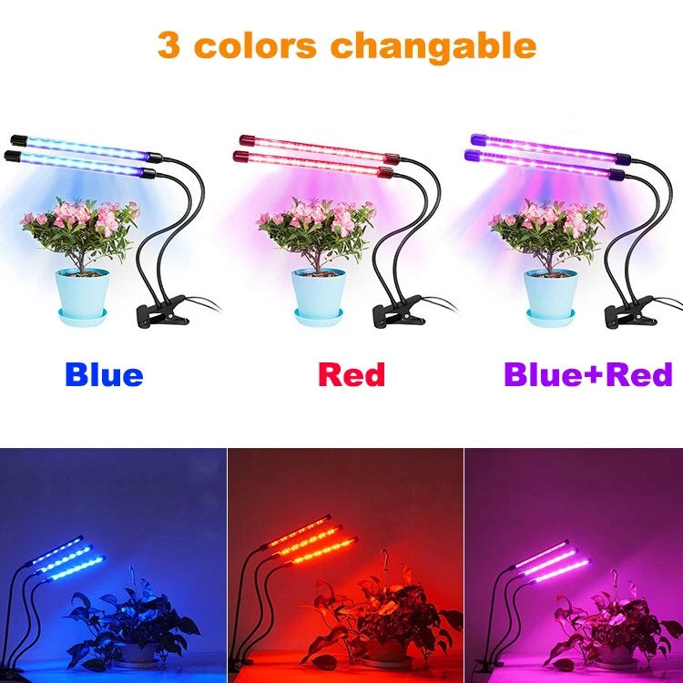 LED Plant Grow Light Red Blue Spectrum USB Clip-On Lamp – 5 Dimmable Levels Indoor Plant Growing Light with 3/6/12 Hour Timer, Dual Rod Adjustable