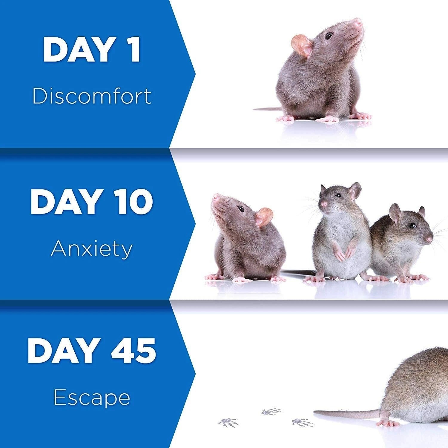 🐜 Ultrasonic Pest Repeller with Charger – Advanced 4-Band Technology