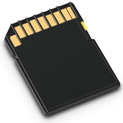 SDXC Memory Card 1TB (1024GB) | UHS-I U3 Class 10 | Up to 170MB/s | High-Speed SD Card for DSLR, 4K Camera &amp; HD Camcorder