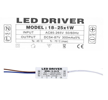 Lighting Driver LED Power Driver ABS 18-25x1W Constant Current 300mA LED Driver Transformer AC 85-265V to 54-87V DC