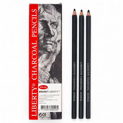 Pack of 2 – 3 Pcs Charcoal Pencils &amp; 3 Pcs Blending Stump Set | Sketching &amp; Shading Kit for Artists
